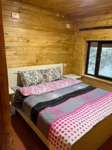 Cottage in Mestia