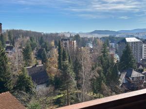 Apartman BEAR Zlatibor