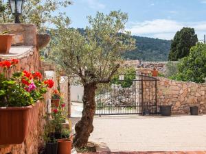 Apartment Appartement Casper mit Terrasse- Garten und Grill by Interhome