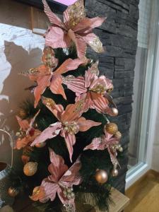 Verona Lakic Vrnjacka Banja