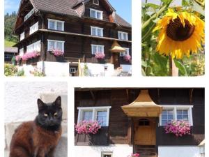 Apartment Scheftenau by Interhome