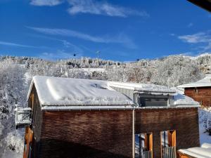 Apartment MyGrischa by Interhome