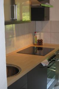 Apartment Gemütliche Ferienwohnung mit Blick auf die Donau by Interhome