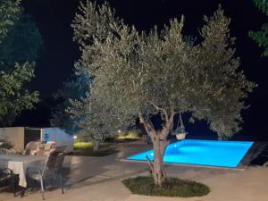 Holiday Home AQUA mit Pool by Interhome