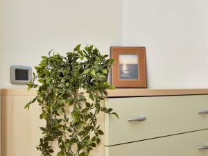 Apartment Familienwohnung mit Balkon BV2 by Interhome