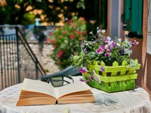 Apartment Komfort-Apartment mit Balkon BV1 by Interhome