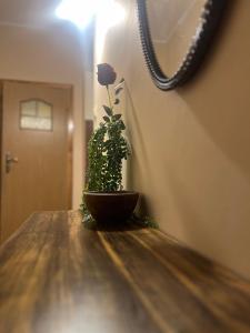 City Centre apartment - Poznan