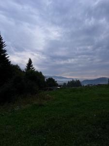 Хата у Карпатах