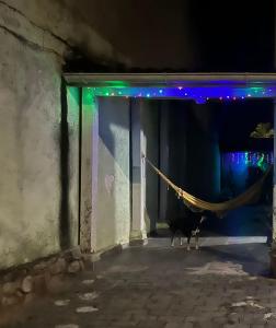 Casa simples para passear em familia