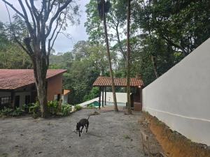Sua casa de férias com piscina em Maresias