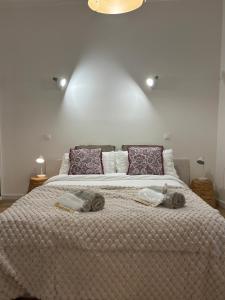 Charmant T2, à seulement 3 minutes à pied du centre ville, et des halles