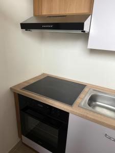 Zentrale Wohnung nahe Therme Bad Schallerbach