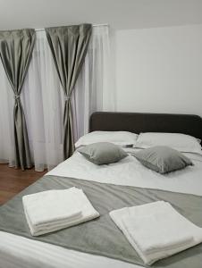 Apartament Adelina Borsa