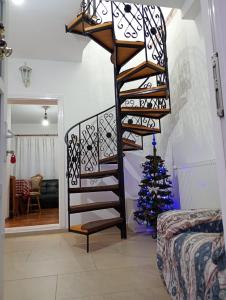 Apartament Adelina Borsa