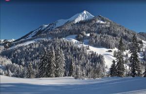 LAuberge de la Comballaz