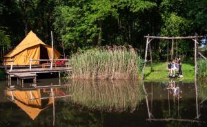 ASILI DELUXE - Zebra