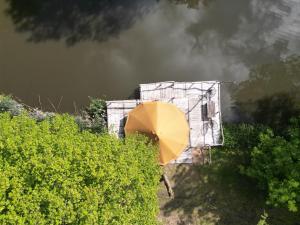 ASILI DELUXE - Zebra