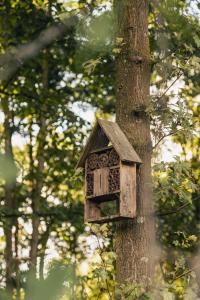 ASILI DELUXE - Zebra