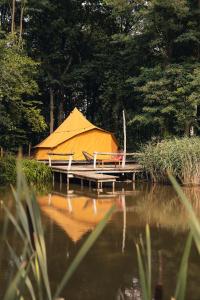 ASILI DELUXE - Zebra