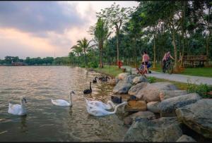 2 phòng ngủ, tắm khoáng Onsen Nhật Bản, BBQ ngoài trời