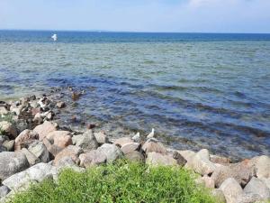 6 person holiday home on a holiday park in Bogense