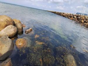 6 person holiday home on a holiday park in Bogense