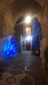 Le zie di Sedile di Porto