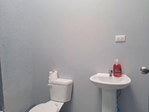 Airport Nest Costa Rica Hotel