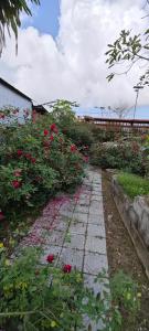 Rose Homestay