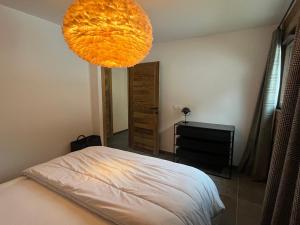 Chalet à Châtel - 4 pers, Terrasse & Garage - FR-1-198-279