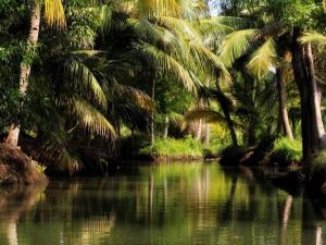 Nickiesnest munroe island kollam