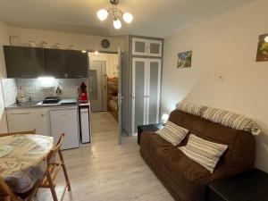 Studio cosy au centre de Samoëns pour 4 pers, animaux admis - FR-1-629-153