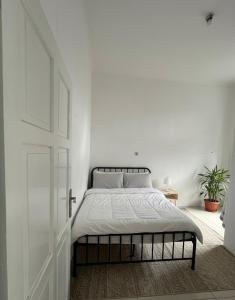 Spacious House - Ngemplak, Surakarta