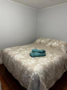 COMODO Y AMPLIO DEPARTAMENTO, Temuco