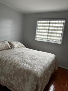 COMODO Y AMPLIO DEPARTAMENTO, Temuco