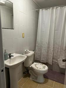 COMODO Y AMPLIO DEPARTAMENTO, Temuco