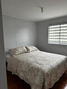 COMODO Y AMPLIO DEPARTAMENTO, Temuco