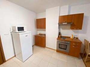 Private Studio 500m from Gondola