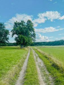 Modern Mini-Villa With Lake View On Bryggholmen