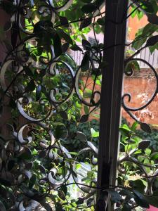 MGPgroup Guest House Navona 2