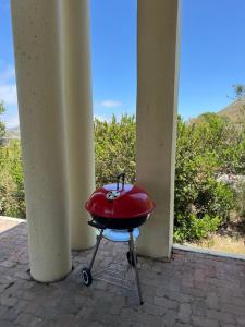 Sea and Vlei on Disa