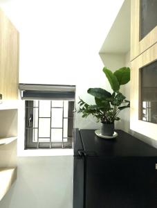 Windy House Apartment