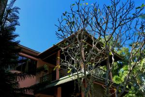 Natures Hill side Phana House