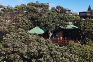 Bon-up-a-Tree Beach Lodge with jacuzzi ocean views, south coast Kwa Zulu Natal