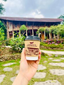 Kỳ Thượng Am Váp Farm