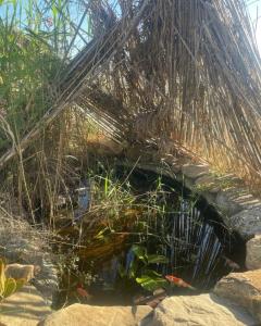 CASA RURAL PRIVADA El MIRADOR DE LA SIERRA