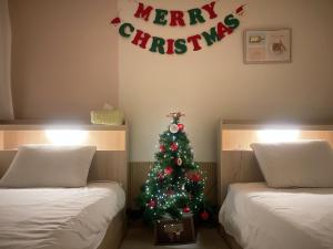 Dongdaemun,Myeongdong,Hongdae,KSPO Lemon House