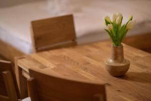 Apartments Resort Vrchlabí