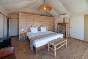 Inara Camp - Emotion Tent