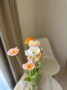 SEIHA UMEDA by SpringRest